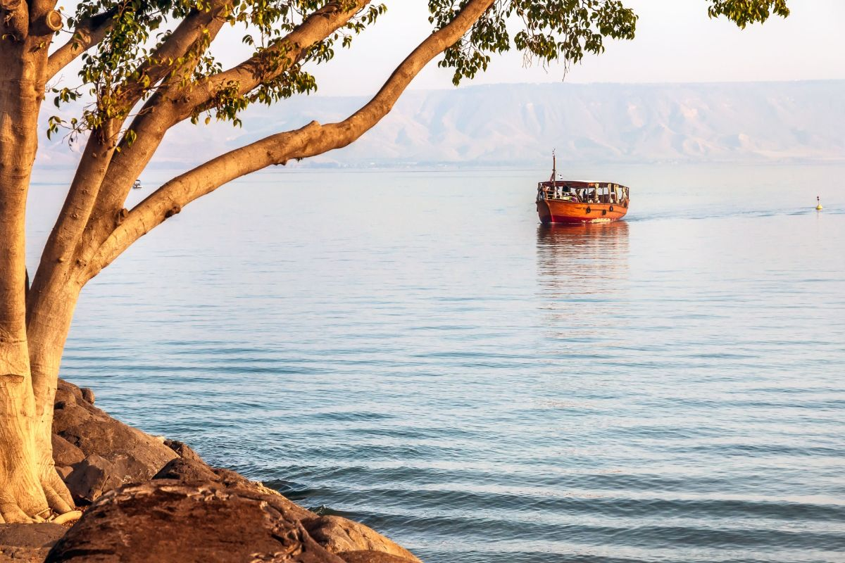 A wooden boat on the Sea of Galilee framed by a tree on the shore