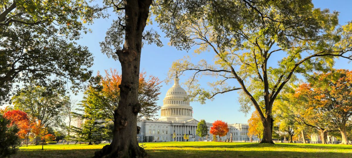 The United States Capitol in Washington, D.C., framed by trees